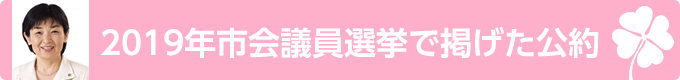 2019年市会議員選挙で掲げた公約